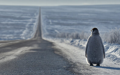 - 10. Geleneksel Ramazan Ayı Meydan Okuması -