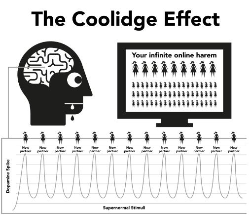 coolidge effect.PNG