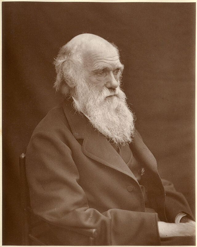 800px-1878_Darwin_photo_by_Leonard_from_Woodall_1884.jpg