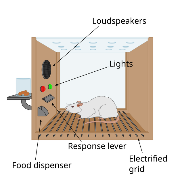 Skinner_box_scheme_01.svg.png