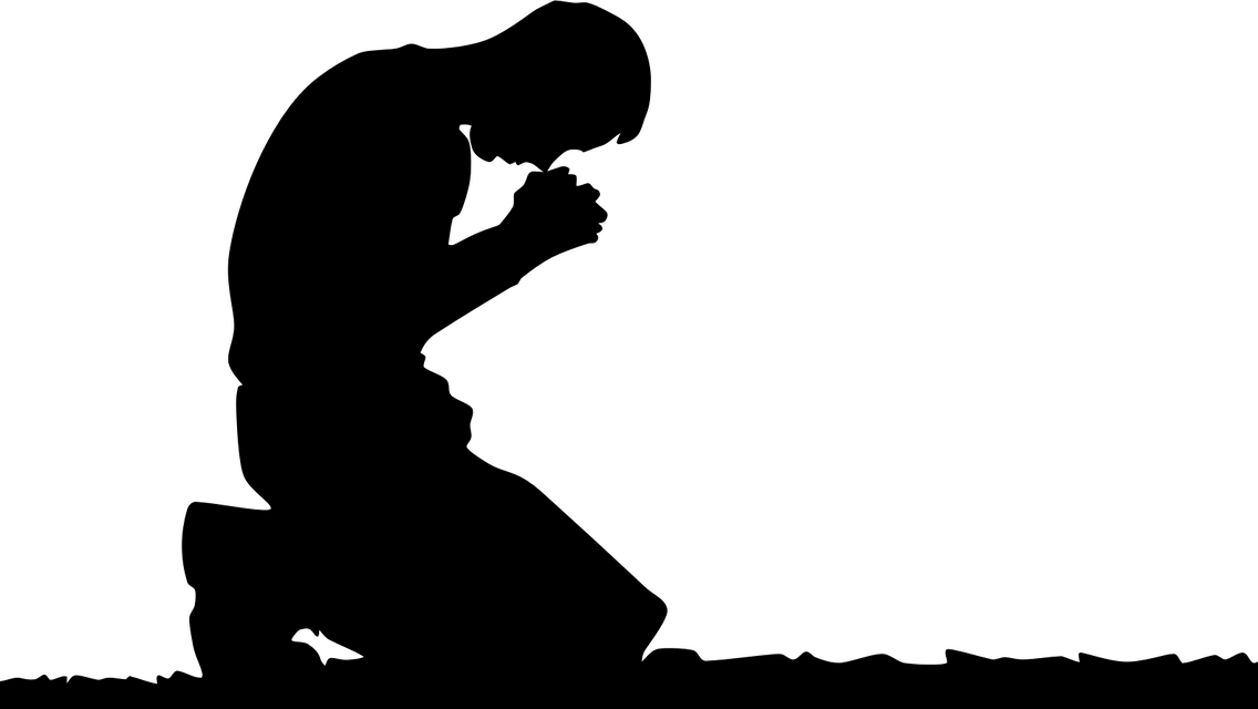 1000035384.png 1000035384.png