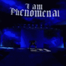 phenomenal-v.1.1
